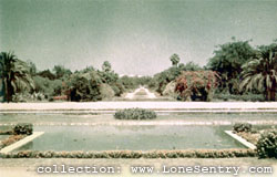 [Public Gardens, Rabat, French Morocco]