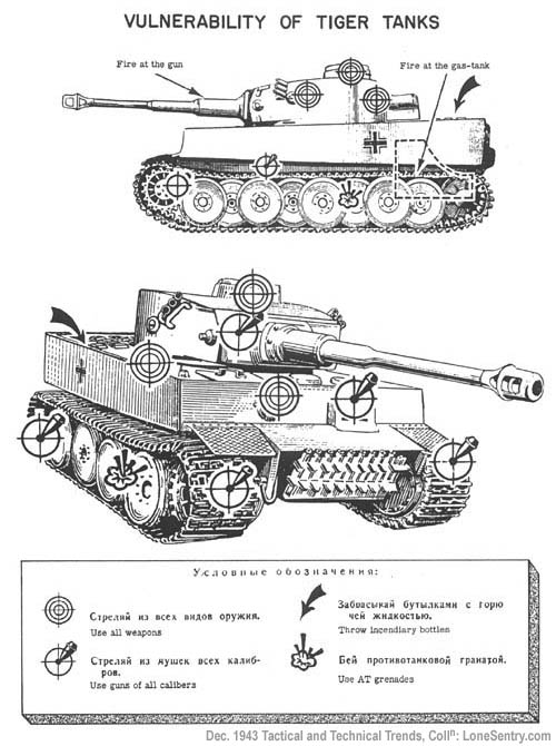 Tiger Tank 5