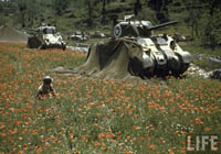 Color Photograph of American Tanks in Italy, WW2