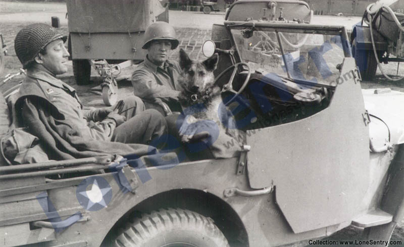 Jeep from the 305th Combat Engineer Battalion of the 80th Infantry Division in Germany, April 1945.