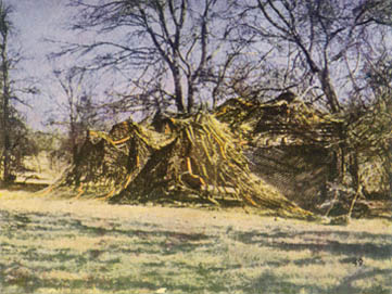 [FIGURE 53. Parked between two clumps of trees, this vehicle is draped with a well-propped net which joins the tree patterns.]