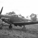 Bell P-39 Airacobra photographed at Henderson Field, Guadalcanal, in the Solomon Islands.