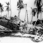 The remains of a wrecked Japanese Aichi D3A Val dive bomber in the Gilbert Islands, 1943.