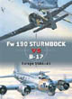 Duel No. 24 -- Fw 190 Sturmböcke vs B-17 Flying Fortress: Europe 1944-45