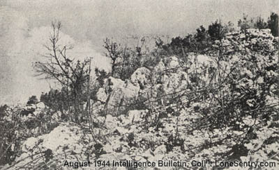 [Two covered German machine-gun positions, undamaged even after the heavy shelling which took place on Mt. Rotondo.]