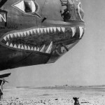 The nose of the Consolidated B-24 Liberator, Howling Wolf, looms over Frank, the group mascot at an air base in southern Italy. (U.S. Air Force Photograph.)